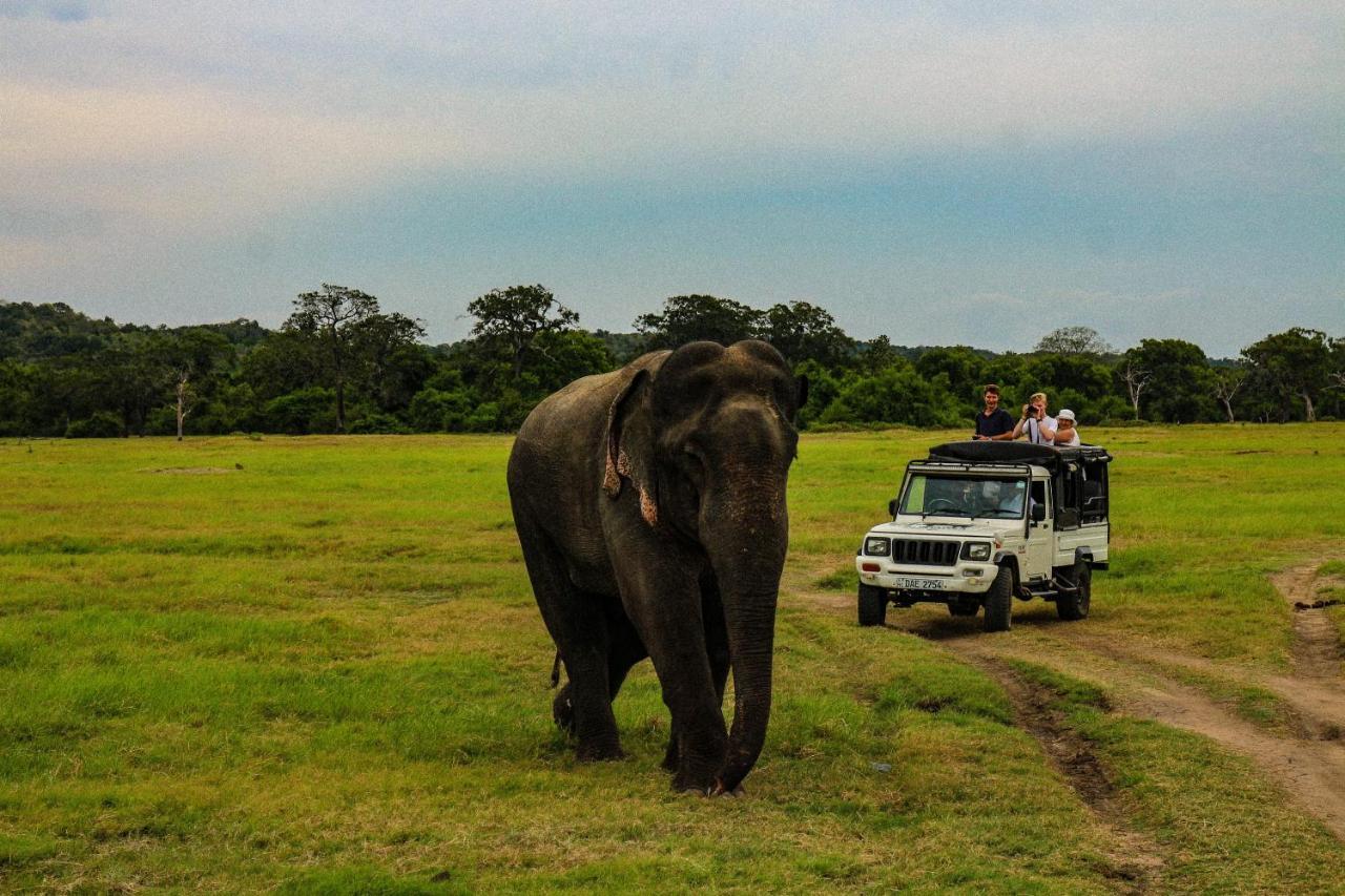 Lakmal Homestay ,10 Minutes To Sigiriya Rock 外观 照片