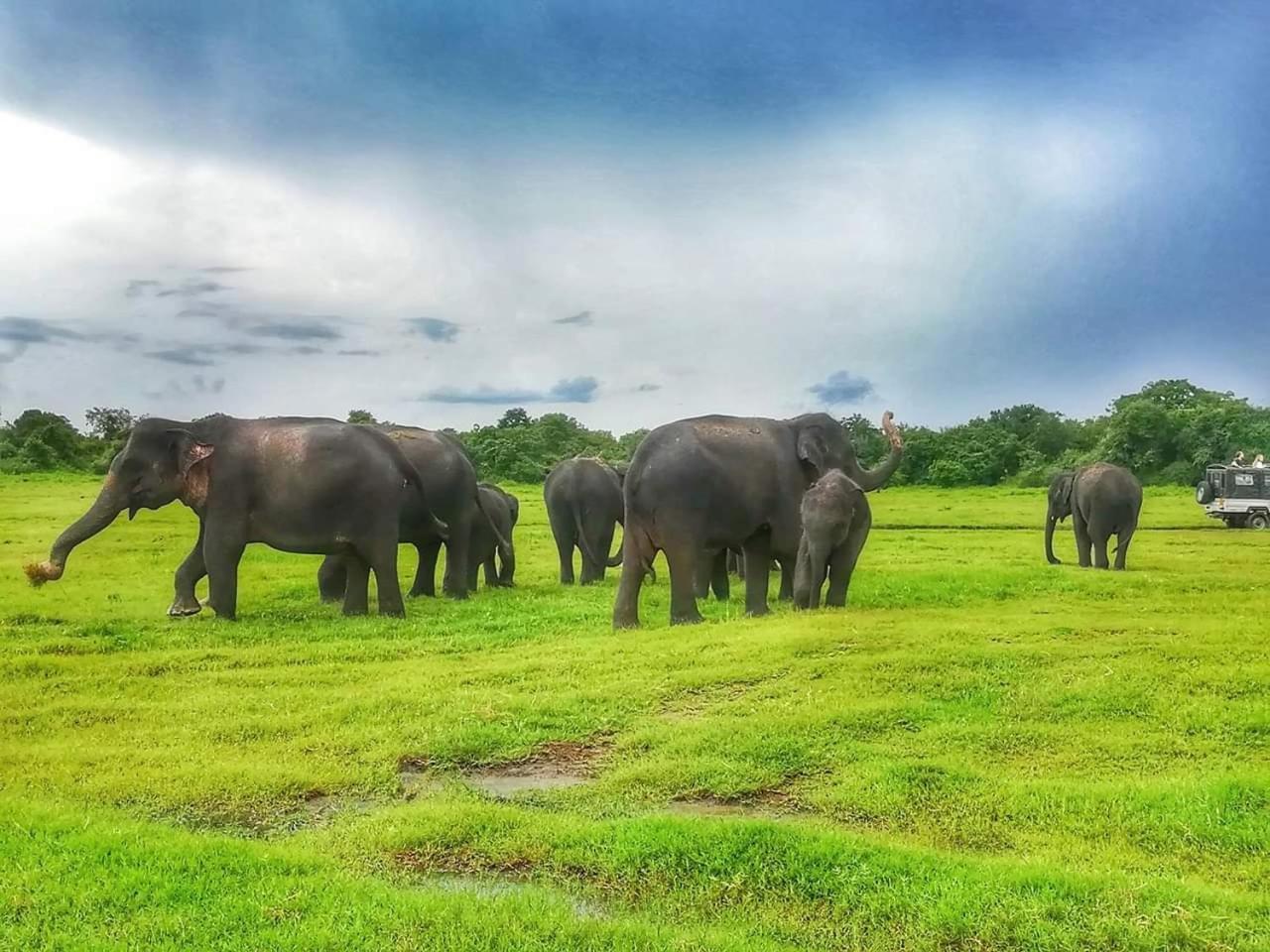 Lakmal Homestay ,10 Minutes To Sigiriya Rock 外观 照片